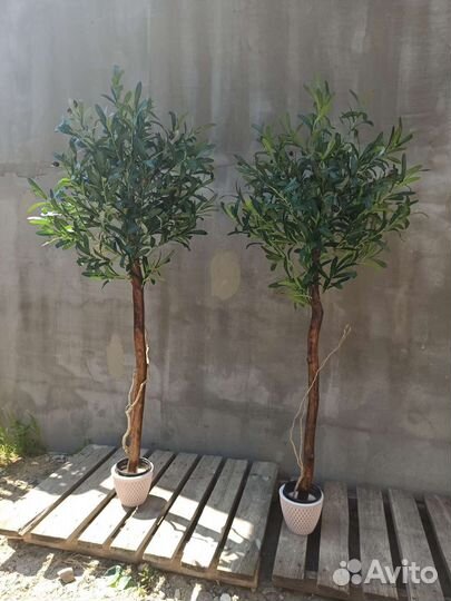 Олива искуственная с плодами. Искусственное дерево