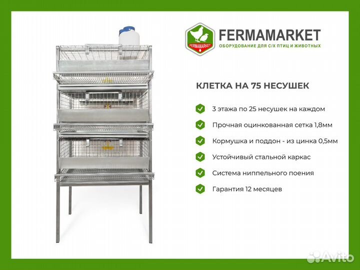 Клетки для перепелов Курск