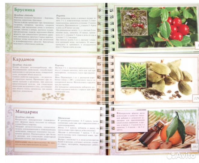 Энциклопедия лекарственных растений. Соловьева В