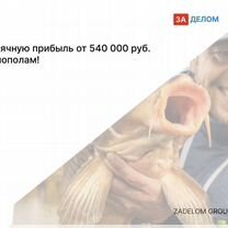 Агентство по рыбоводству в городе Душанбе, Душанбе