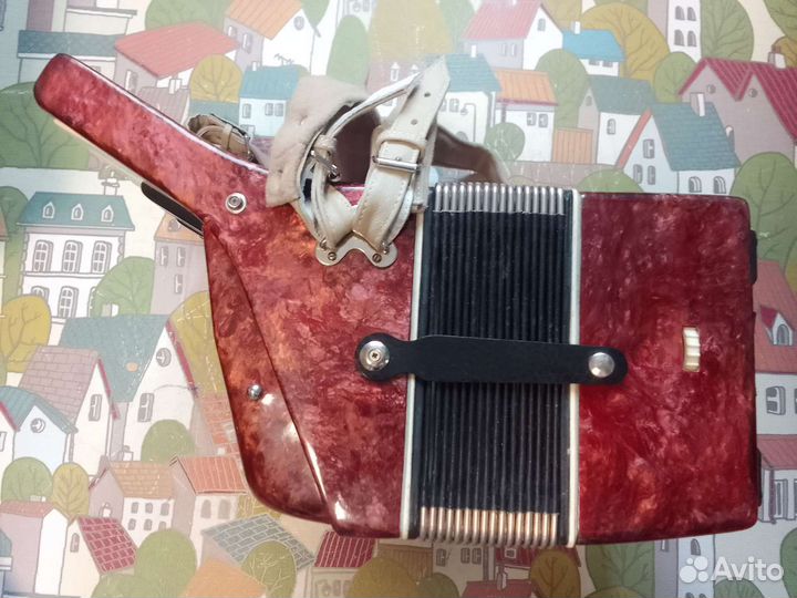 Аккордеон юность 2 рег с ремнями