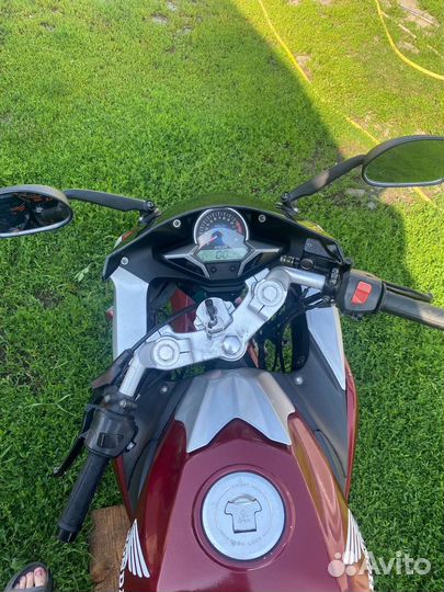 Racer skyway 250