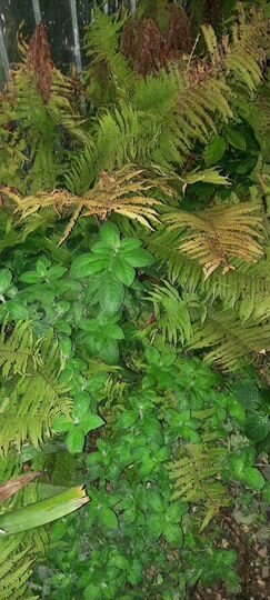 Дача 20 м² на участке 10 сот.