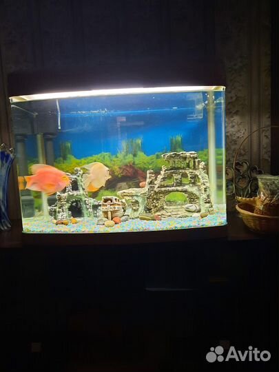 Продам аквариум Jebo R362