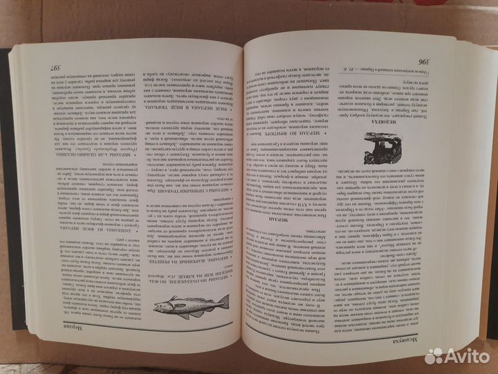 Книга Большой кулинарный словарь А.Дюма