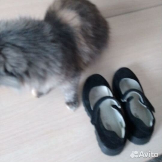 Туфли для девочки