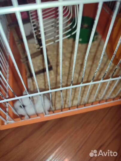 Клетка для грызунов