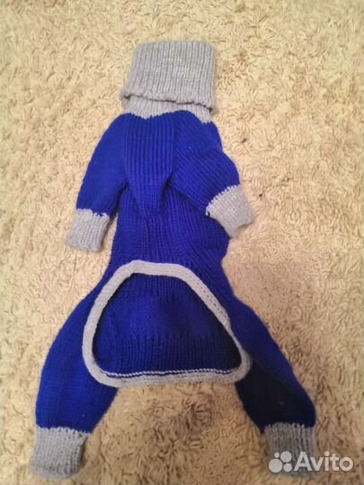 Одежда для маленьких собак