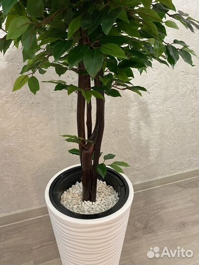 Искусственное дерево дом кафе ресторан офис