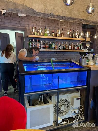 Узв системы аквариумы для устриц/раки