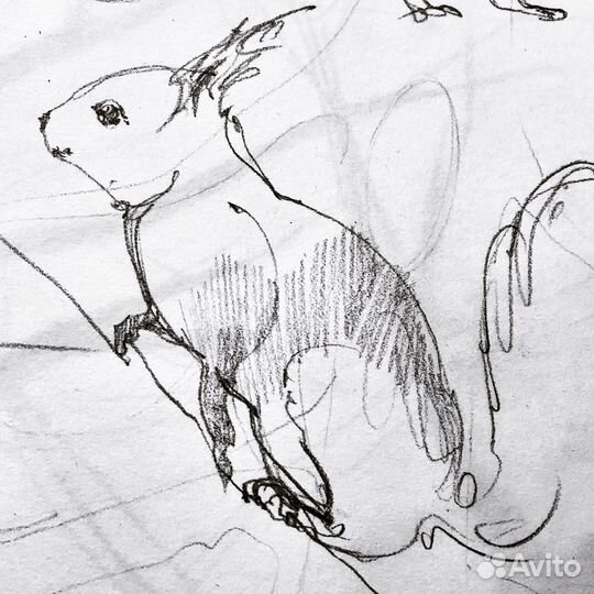 Репетитор по рисованию