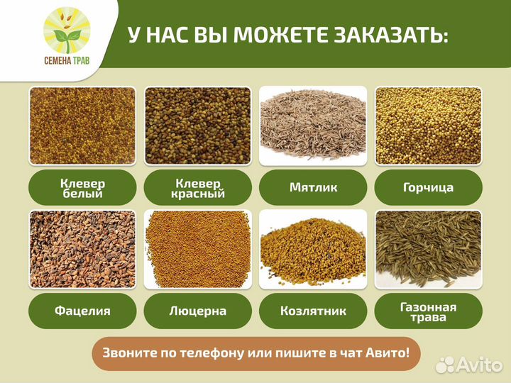 Семена козлятника