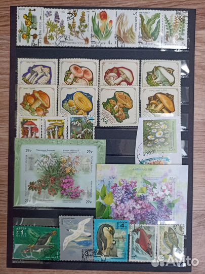 Почтовые марки СССР и России