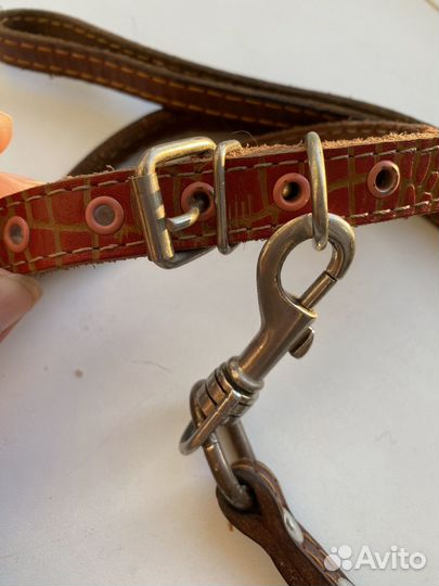 Поводок для собак