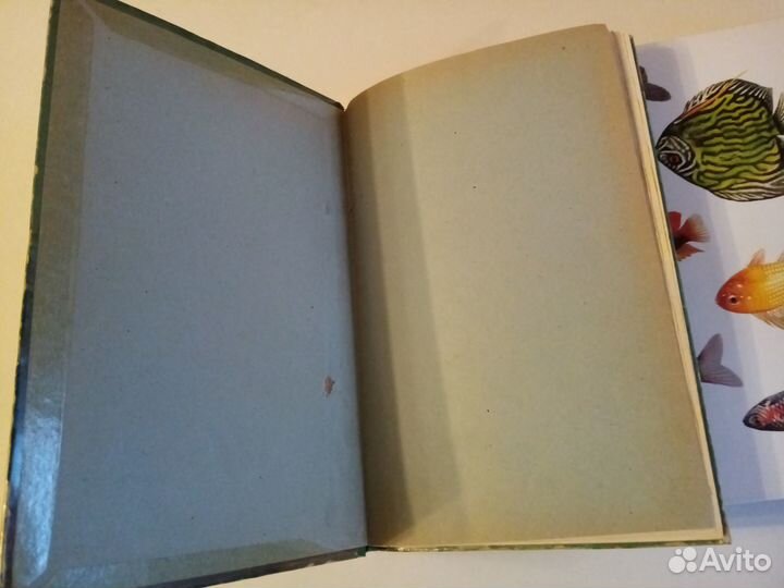 Аквариумные тропические рыбы. Комнатный аквариум