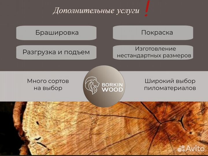 Вагонка штиль из лиственницы