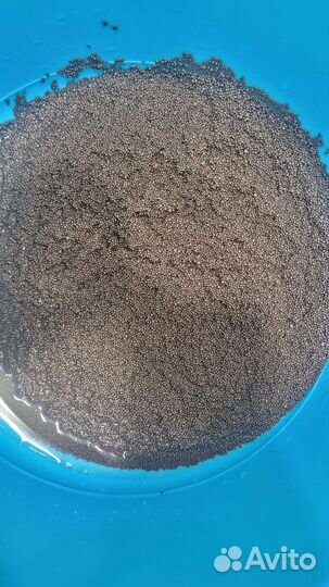 Аквариум куб 30 литров BIOdesign