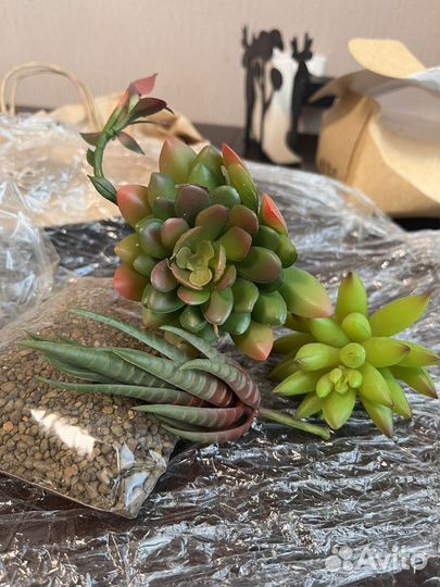 Искусственные растения