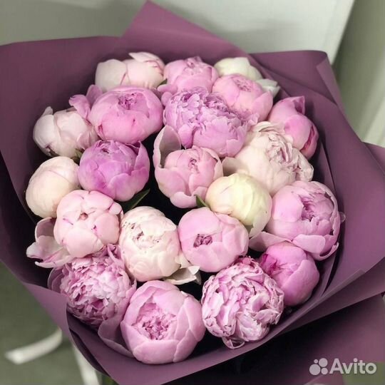 Розовые пионы Сара бернар