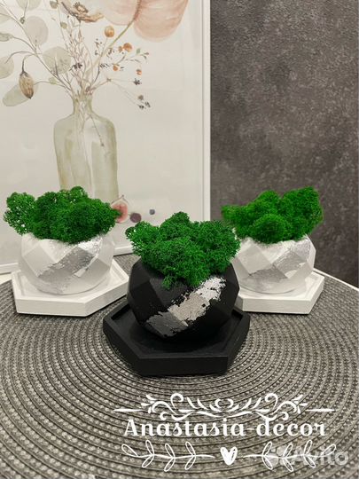 Кашпо с мхом