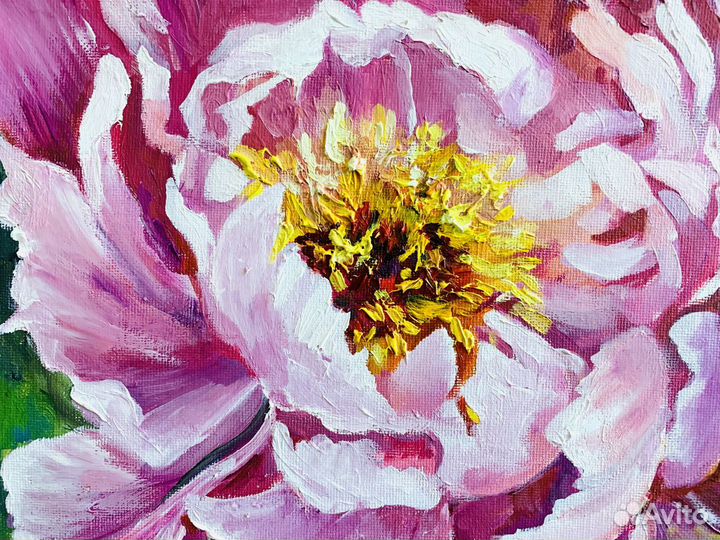 Картина масло холст « Пион»