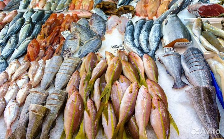 Готовый бизнес: рыбный магазин с доходом