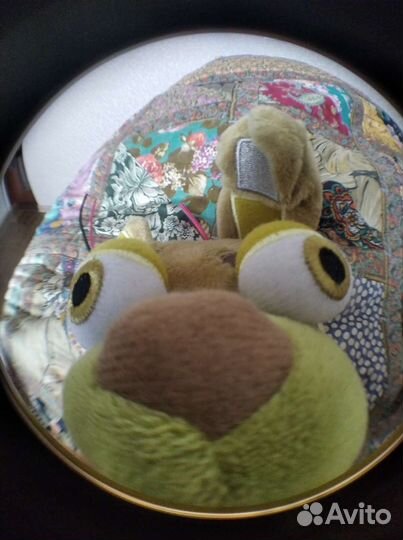 Заяц снюсокид соскахват