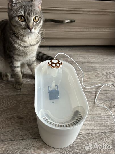 Автоматическая поилка для кошек