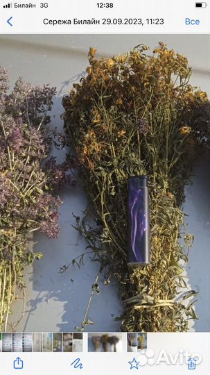 Трава для чая душица