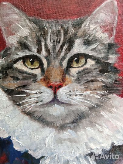Кот в костюме портрет картина маслом 20 х 20 см