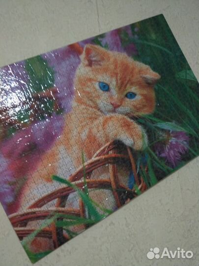 Картина из пазл