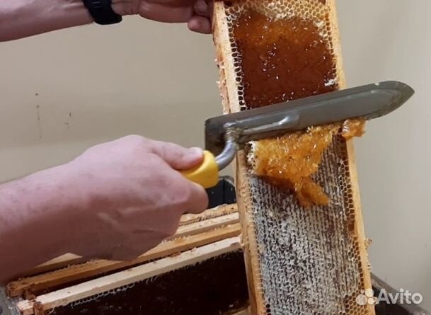 Мед 2024 года натуральный опт