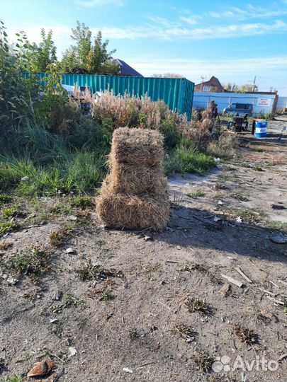 Продам сено,солома в брикета