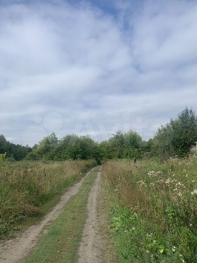 Участок 10 сот. (ИЖС)