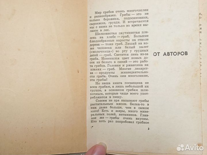 Книга Грибы наших лесов