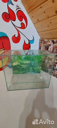 Аквариум; Террариум