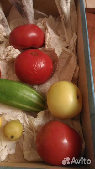 Саквояж-бра,ссср