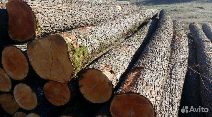 Ольховые дрова
