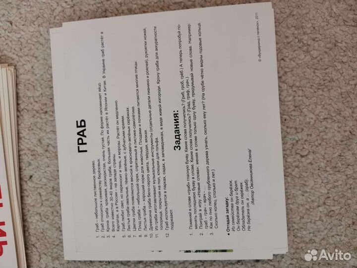 Глобус, микроскоп Levenhuk, карточки