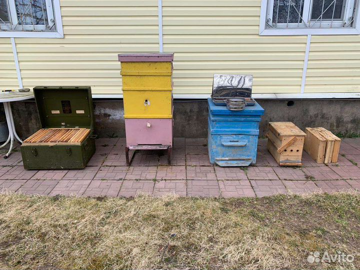 Улей Дадан 16