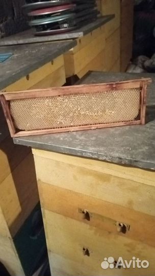 Ульи для пчел