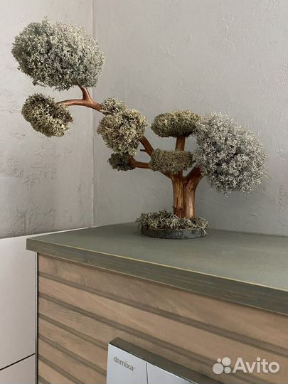 Дерево в ванную