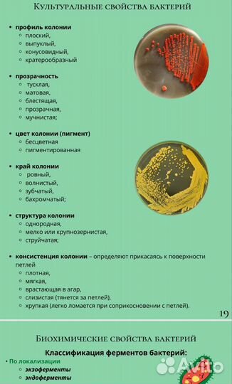 Методичка по микробиологии