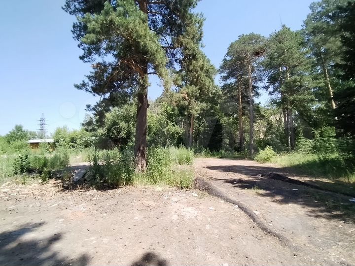 Участок 38,5 сот. (промназначения)