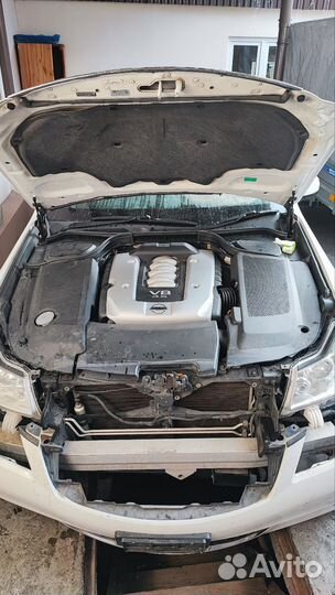 Nissan fuga разборка