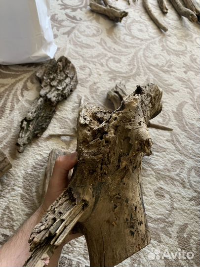 Коряги дрифтвуд