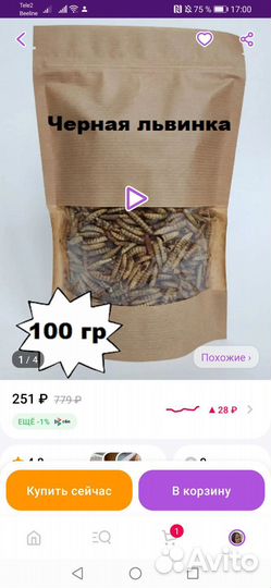 Лакомство для грызунов