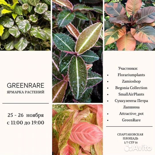 Ярмарка растений Москва 25-26 ноября