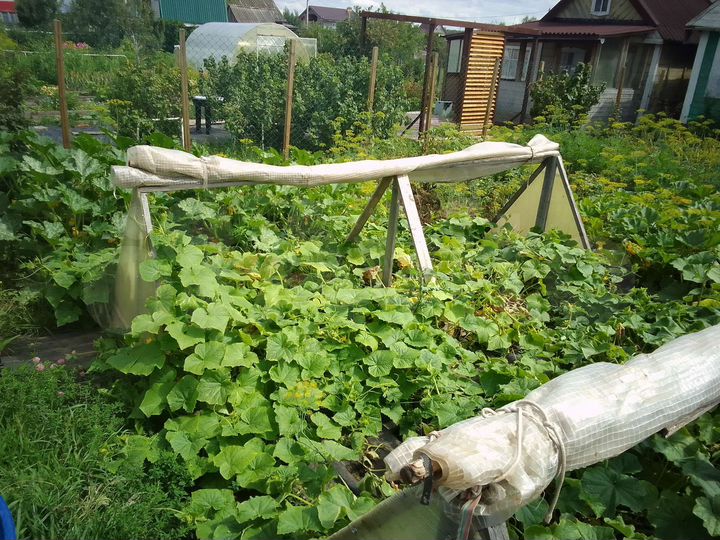 Дача 10 м² на участке 2,5 сот.