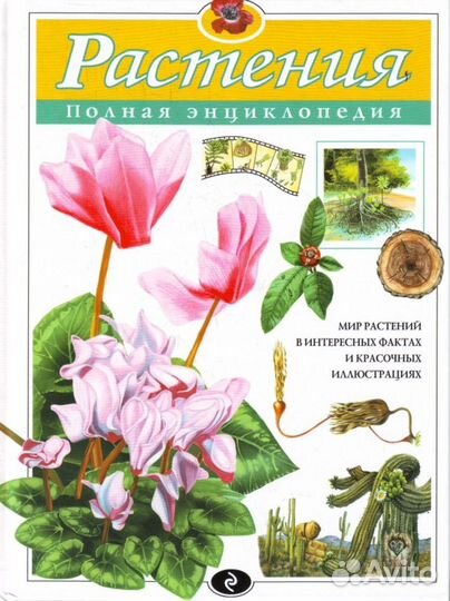 Детские энциклопедии